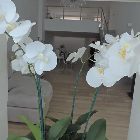 Best Holidays Loft Apartment
